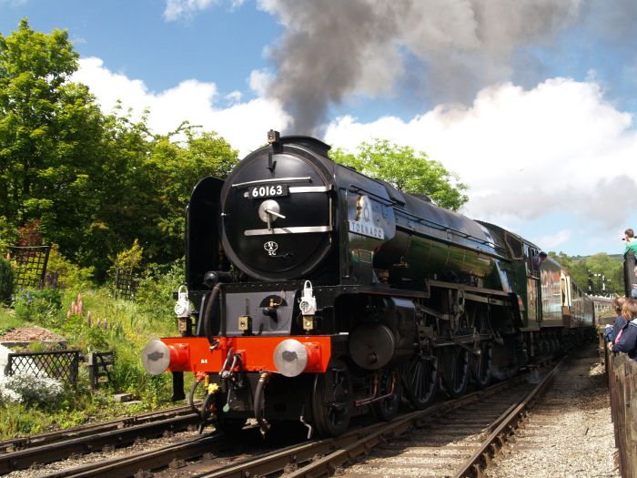 60163 TORNADO Class A1 Steam Locomotive 4-6-2 Pacific Peppercorn design ...